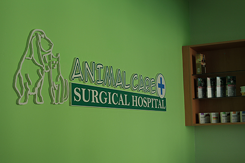 Take a Tour of our Miami Veterinary Hospital! | Veterinarians in Miami ...